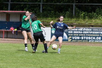 Bild 229 - F VfL Pinneberg - GW Eimsbuettel4 : Ergebnis: 9:0